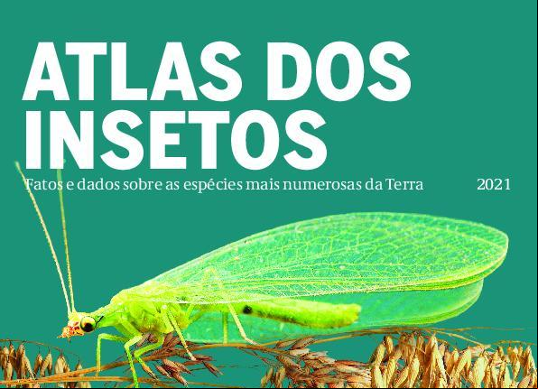 Alt da imagem