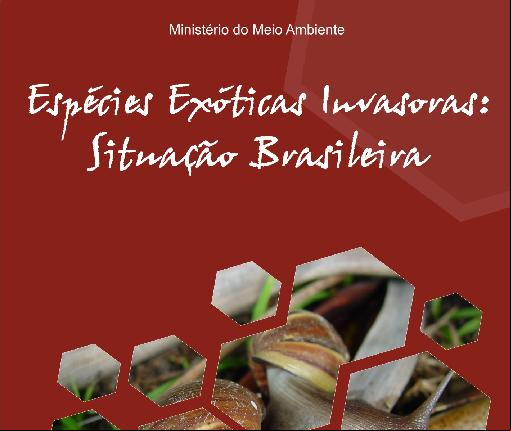 Alt da imagem