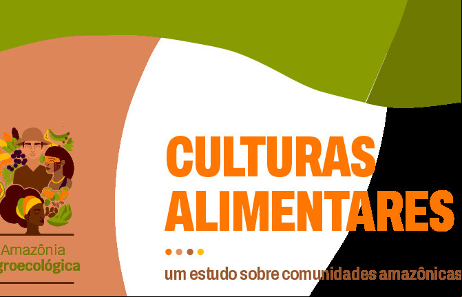 Alt da imagem