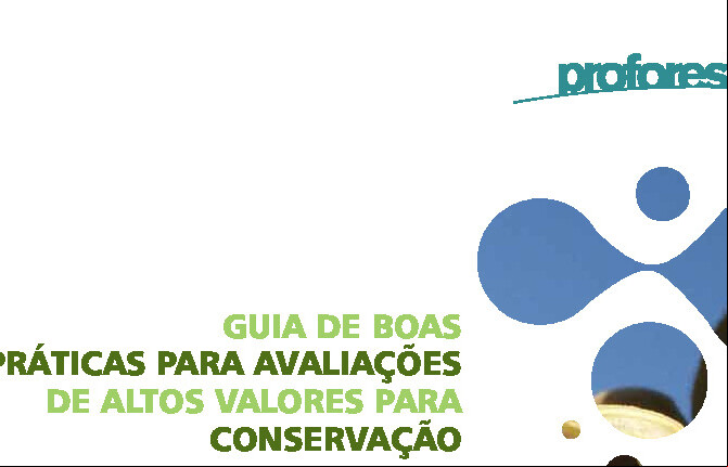 Alt da imagem