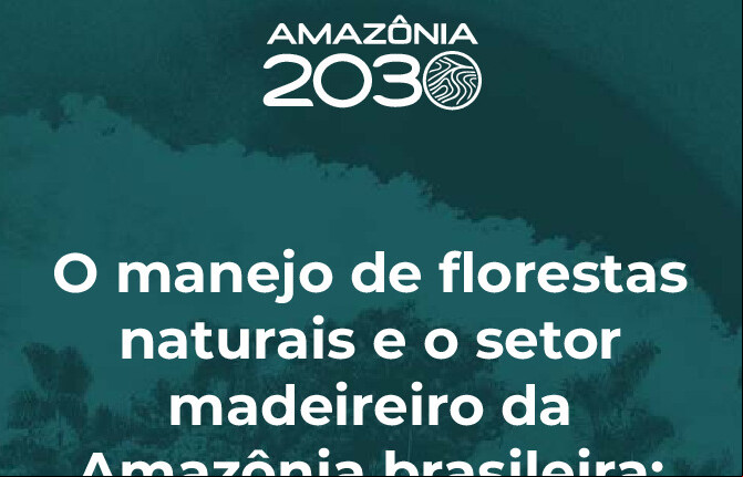 Alt da imagem