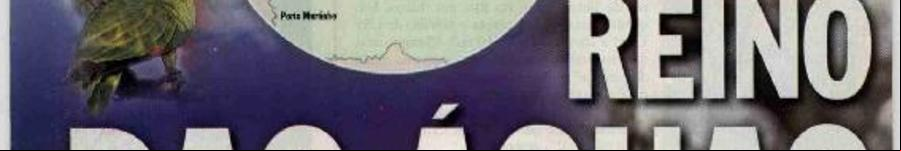Alt da imagem